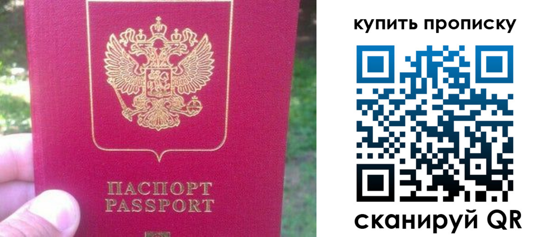 временная регистрация для школы в Шумихе